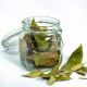 Organic Bay leaf